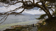 Usuhaia - Tierra del Fuego National Park