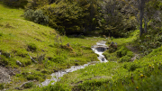 Usuhaia - Tierra del Fuego National Park