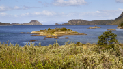 Usuhaia - Tierra del Fuego National Park