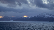 South Georgia - Fortuna Bay