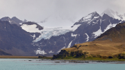 South Georgia - Grytviken