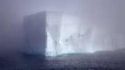 MS Hanseatic - South Georgia > Elephant Island