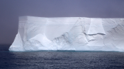 MS Hanseatic - South Georgia > Elephant Island