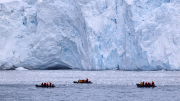 Elephant Island - Point Wild