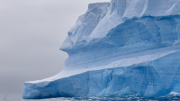 Elephant Island - Point Wild