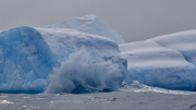 Elephant Island - Point Wild