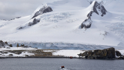 South Shetland - Half Moon Island