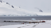 South Shetland - Half Moon Island