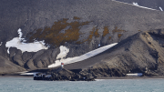 South Shetland - Deception Island