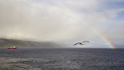 Beagle Channel